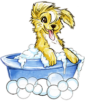 Paws 4 fx grooming logo